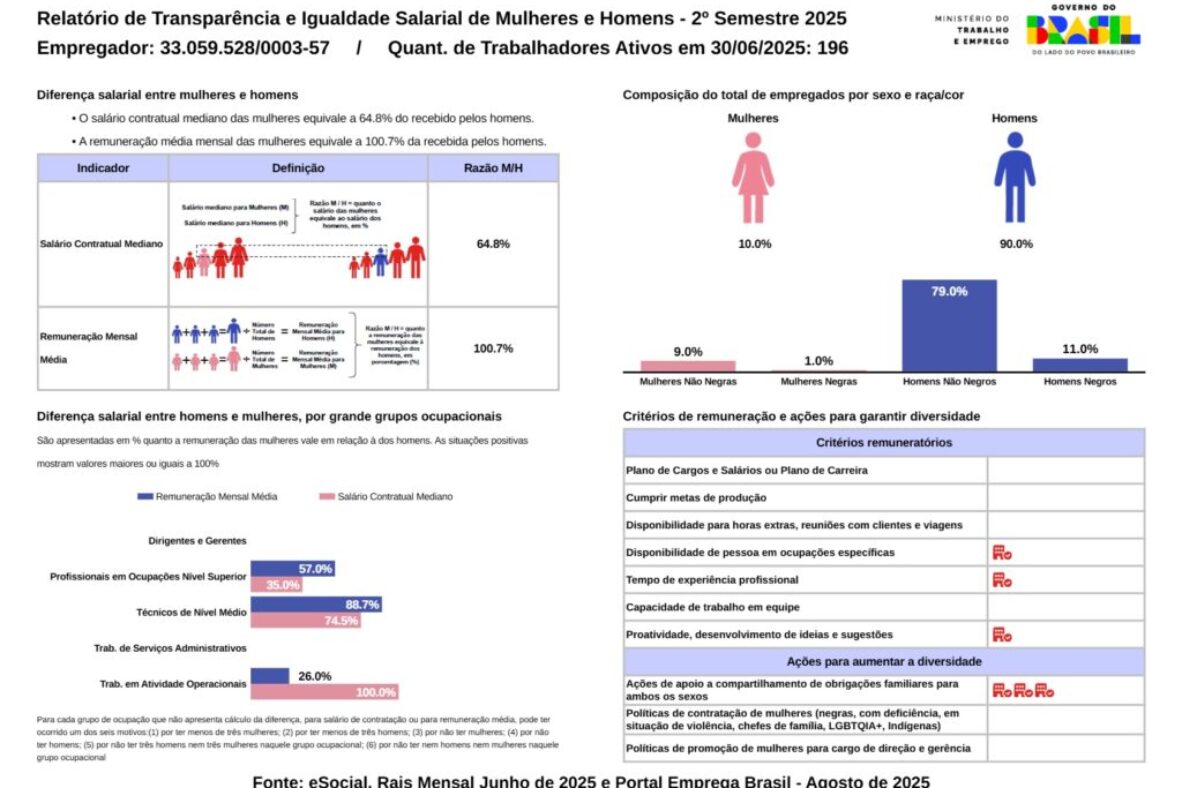 RelatorioIgualdadeSalarialLote_2025_2_33059528000357 - Copelmi